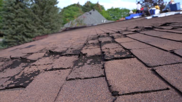 Best Rubber Roofing (EPDM, TPO)  in Frazier Park, CA