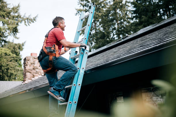 Best Roof Ventilation Installation  in Frazier Park, CA